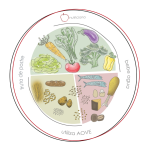 El plato para comer saludable